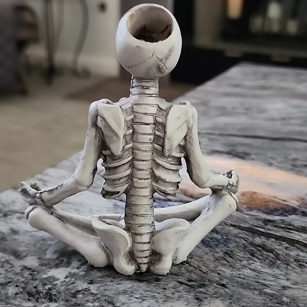 Trader Joe's Yoga Skeletons Set Of 3